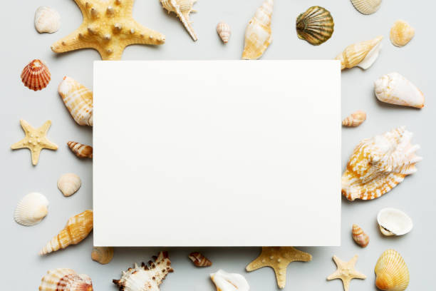 istock Summer time concept with blank greeting card and blank white paper on colored background. Seashells from ocean shore in the shape of frame separated with space for text top view 1496954232