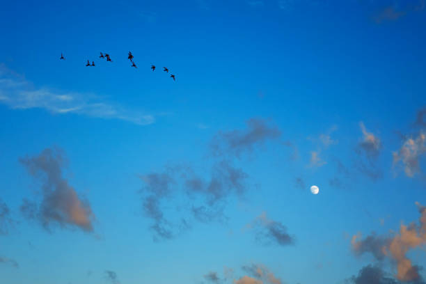 Dramatic sky and moon background