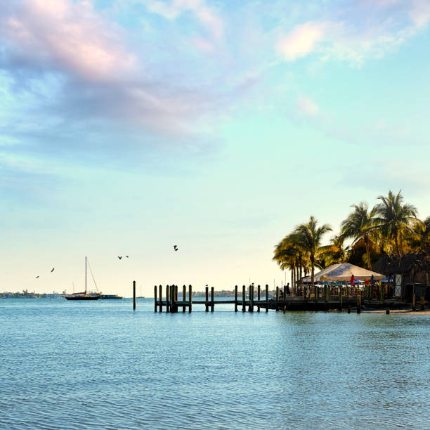 istock Small boat deck and tiki bar at tropical seaside 1496955367