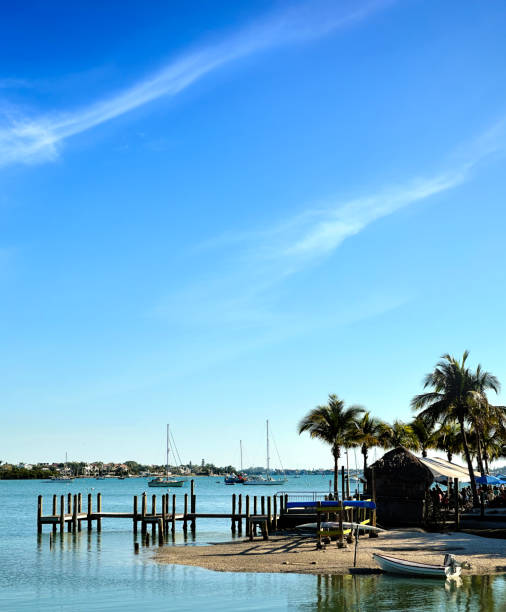 istock Small boat deck and tiki bar at tropical seaside 1496955379