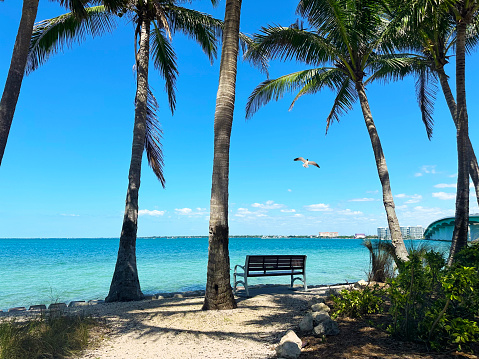 Sarasota Bay view in Florida