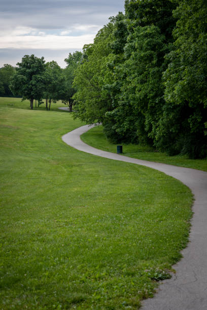 istock Asphalt path in a park in the city 1496957967