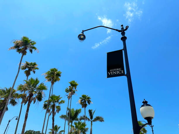 istock Low angle view of street light with blank banner 1496958878