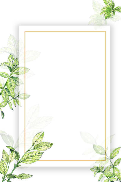 istock a set of watercolor elements in the sketch style. bright mint with leaves and flowers. Tea set. for postcards and design. 1496960242