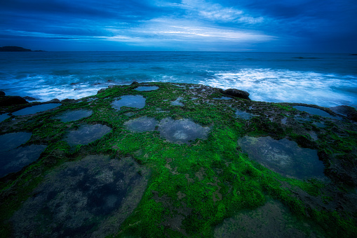 Moss on My Hiep beach in a bad weather day, Ninh Thuan province, central Vietnam