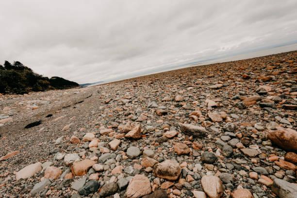 A scenic shot of a coast in New Brunswick.