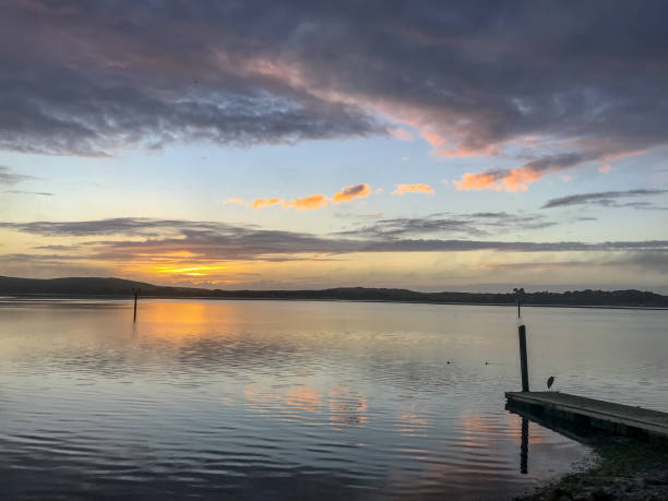 istock Watching the sunset at Bodega Bay in California 1496963194