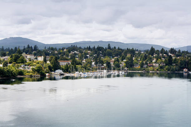istock Bremerton Waterfront from Warren Avenue Bridge 1496966858