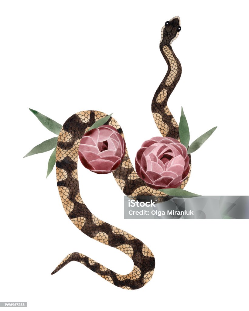 Watercolour Python Watercolor Royal Or Ball Python Snake With Flowers Illustration ...