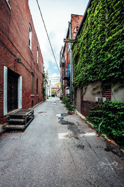 istock Kansas City alley 1496968557