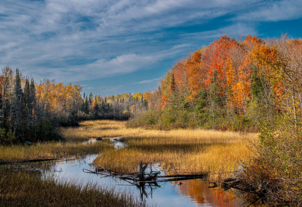 Armstrong Creek flows peacefully through the Wisconsin northwoods alive with vibrant autumn colors.