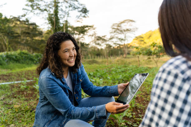 istock Smiling farmer in the vegetable garden 1496969682