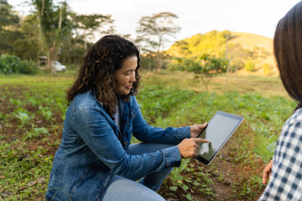 istock Agricultural teacher using tablet in the field 1496969686