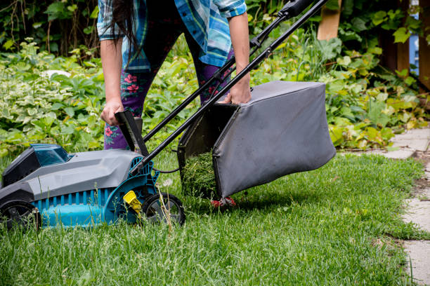 istock Clean and Green: Empowered Woman Clearing Clippings from Electric Mower in Canada 1496970252