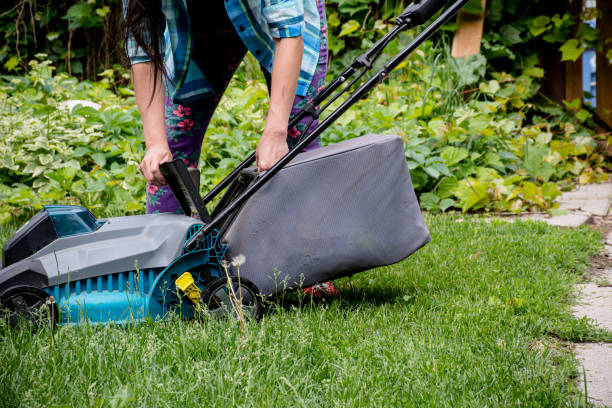 istock Clean and Green: Empowered Woman Clearing Clippings from Electric Mower in Canada 1496970259