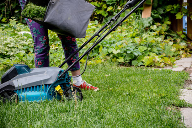istock Clean and Green: Empowered Woman Clearing Clippings from Electric Mower in Canada 1496970262