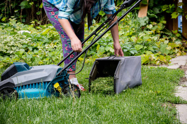 Clean and Green: Empowered Woman Clearing Clippings from Electric Mower in Canada