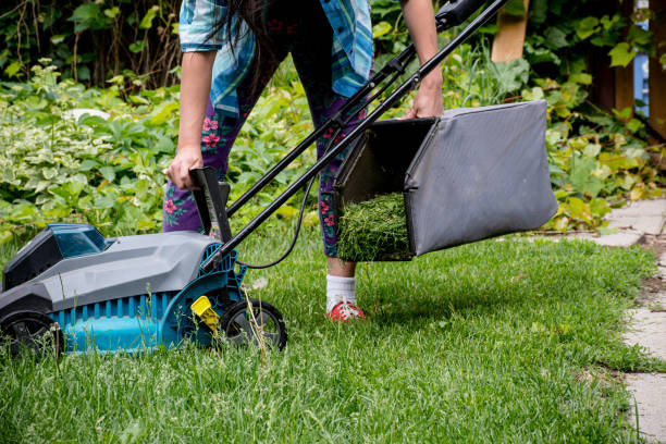 istock Clean and Green: Empowered Woman Clearing Clippings from Electric Mower in Canada 1496970283