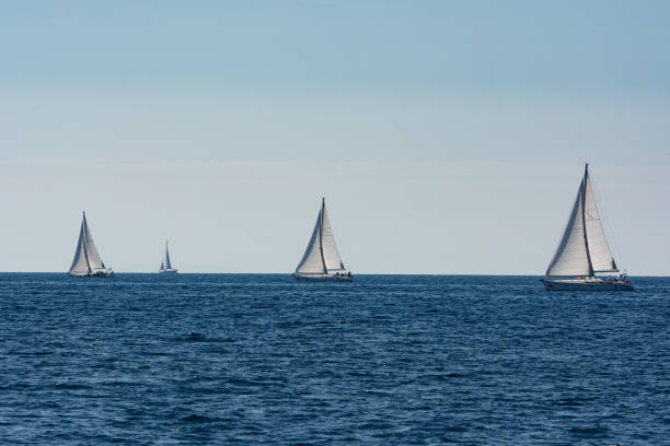 Yachts sailing on the sea on sails. Croatia