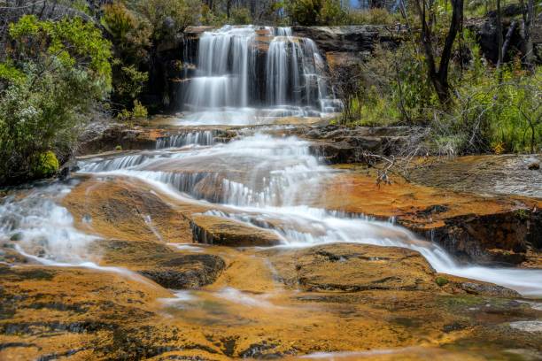 istock Picturesque forest landscape featuring a small cascading waterfall. 1496974040