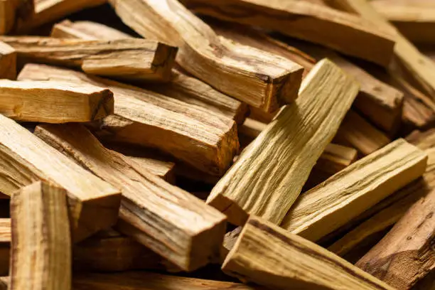 Pile of Palo Santo, holy sacred tree sticks, burning with aroma smoke. Healing home and people energy with smoke concept