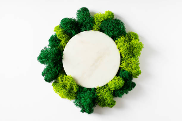 istock Eco and beauty concept with marble podium and moss on white background 1496975173
