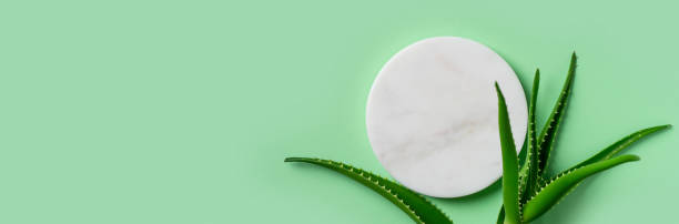 Beauty concept with white podium, platform and aloe vera on green background,