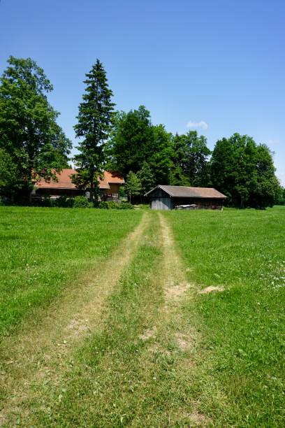 Walking path in summer in Upper Bavaria. A path between green meadows in Germany. A walk in summer in Wackersberg. The outskirts of Bad Toelz. A walk through the green meadows of Bavaria.