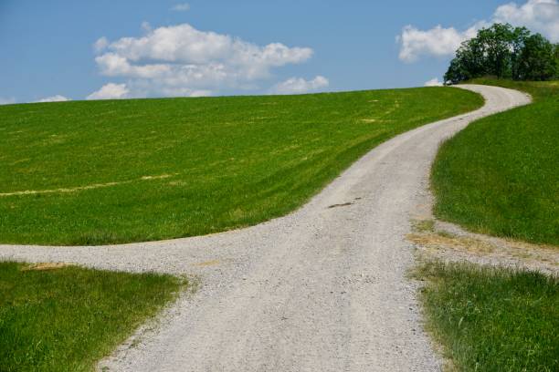 istock Walking path in summer in Upper Bavaria. A path between green meadows in Germany. A walk in summer in Wackersberg. The outskirts of Bad Toelz. A walk through the green meadows of Bavaria. 1496978162