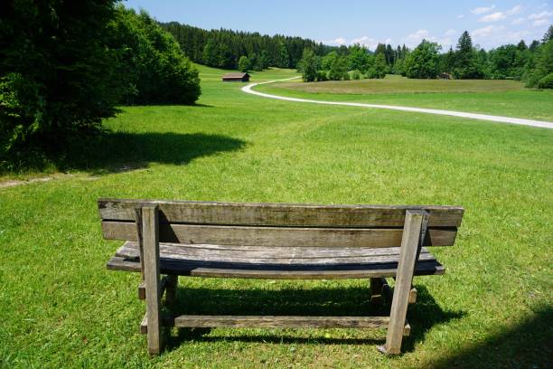 istock Walking path in summer in Upper Bavaria. A path between green meadows in Germany. A walk in summer in Wackersberg. The outskirts of Bad Toelz. A walk through the green meadows of Bavaria. 1496979454