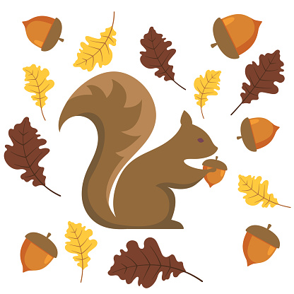 A cute fall squirrel element for autumn invitations or concepts done in a cute style on a transparent background.