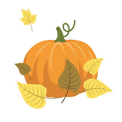 A cute fall pumpkin element for autumn invitations or concepts done in a cute style on a transparent background.