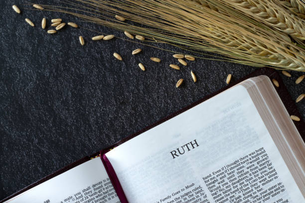 istock Ruth open holy bible book with barley stalk and ripe grain on dark background, top view 1496983563