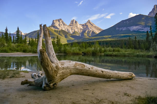 istock Scenic area in Canmore, Banff National Park area 1496985774