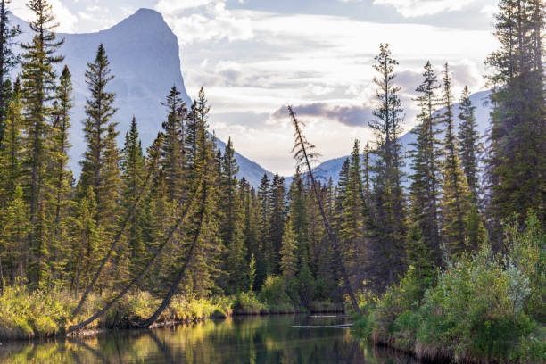istock Scenic area in Canmore, Banff National Park area 1496986492