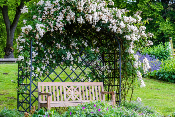 istock Seasonal spring flowers from garden 1496989444