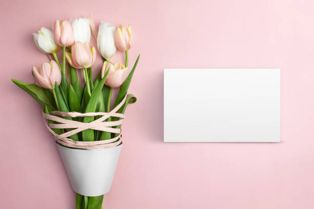 ピンクの背景にピンクと白のチューリップ、リボン、空白のカードの組成。チューリップの春の花束。誕生日、バレンタインデー、レディースデーのコンテンツ。フラットレイ、平面図、ク�