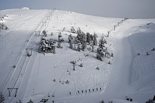 ski slope and trees in ski center