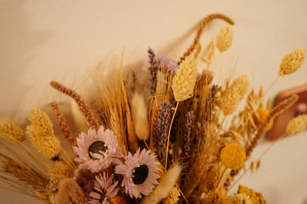 istock Close up of dried flowers 1496993122