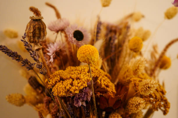 istock Close up of dried flowers 1496993174