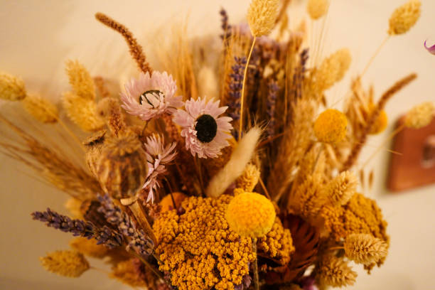 istock Close up of dried flowers 1496993187