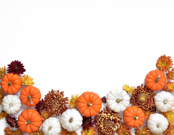 istock White and orange mini pumpkins and fall chrysanthemums 1496993527