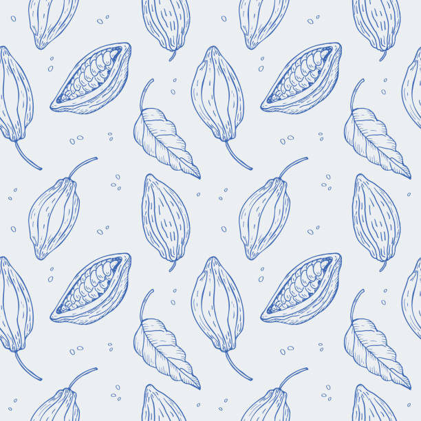 Cocoa plant seamless pattern. Hand drawn illustration of cocoa beans, leaves, cocoa tree. Design element floral motif repeating background. Ornament for fabric, paper, card, wrapping. Vector Cocoa plant seamless pattern. Hand drawn illustration of cocoa beans, leaves, cocoa tree. Design element floral motif repeating background. Ornament for fabric, paper, card, wrapping. Vector illustration theobroma cacao flower stock illustrations