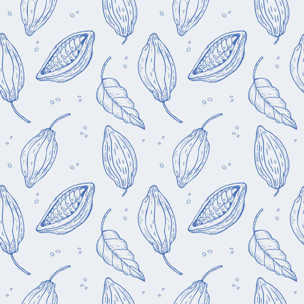 Cocoa plant seamless pattern. Hand drawn illustration of cocoa beans, leaves, cocoa tree. Design element floral motif repeating background. Ornament for fabric, paper, card, wrapping. Vector Cocoa plant seamless pattern. Hand drawn illustration of cocoa beans, leaves, cocoa tree. Design element floral motif repeating background. Ornament for fabric, paper, card, wrapping. Vector illustration threshing stock illustrations