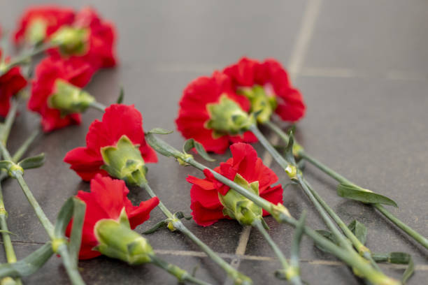 istock Red carnations lie on monuments in the sun closeup 1496997867