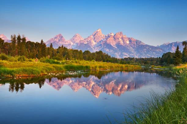 grand teton bei schwabacher's landing - jackson hole stock-fotos und bilder