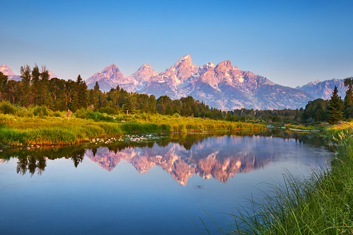 The Tetons reflected in a calm channel of the Snake River at Schwabacher's Landing at sunrise on a Summer morning