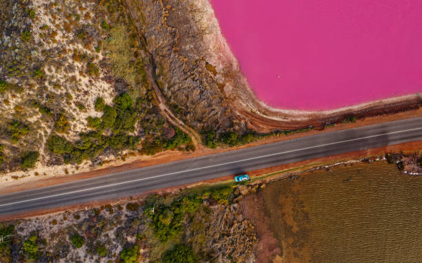 istock Pink Lake in Port Gregory in Western Australia, colored water by bacteria and algae, beautiful contrast between the blue ocean and pink water, clouds on the sky, aerial view 1496999846
