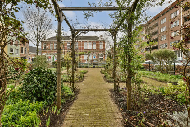 istock a garden with a path and buildings in the background 1497003750
