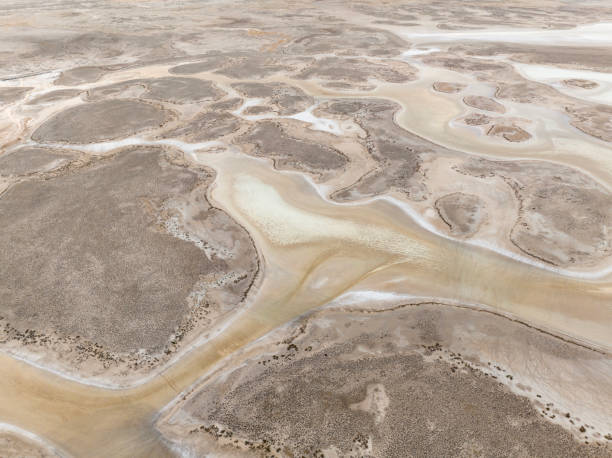 istock Natural shapes and textures on lake 1497003987